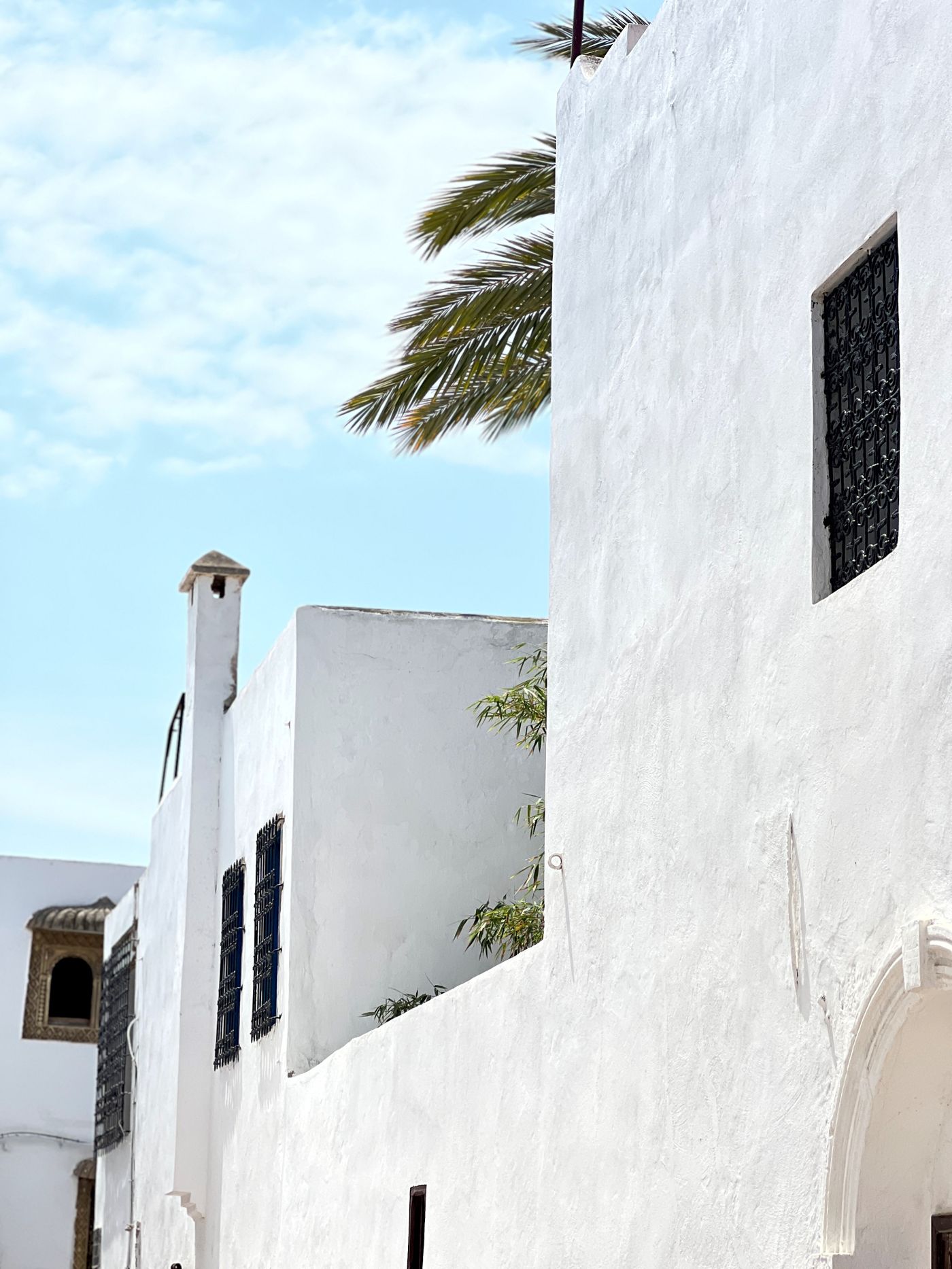 Fresh white stucco walls under a blue sky with palm fronds